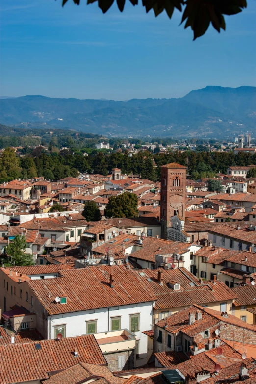 a bird's eye view of the roofs and architecture