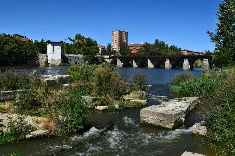 a river running between rocks next to trees