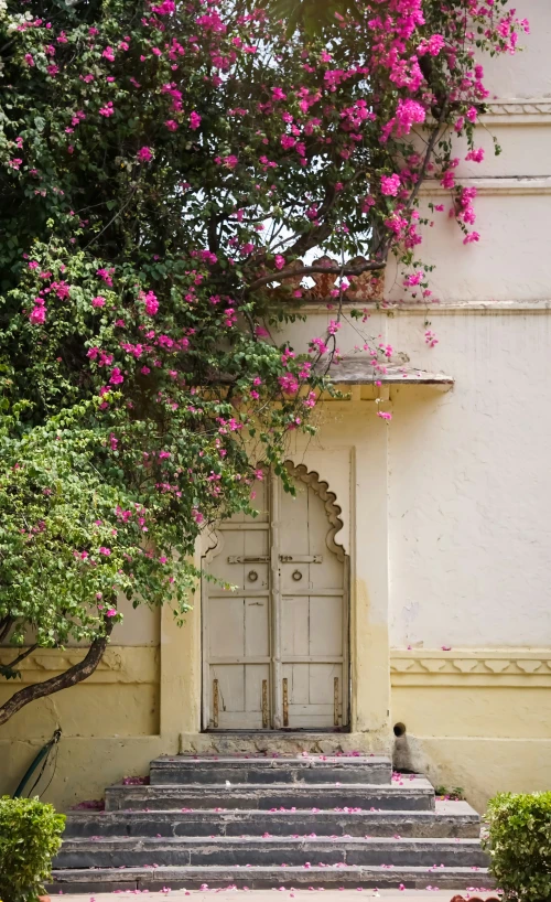 a white doorway leading to another with pink flowers growing over it