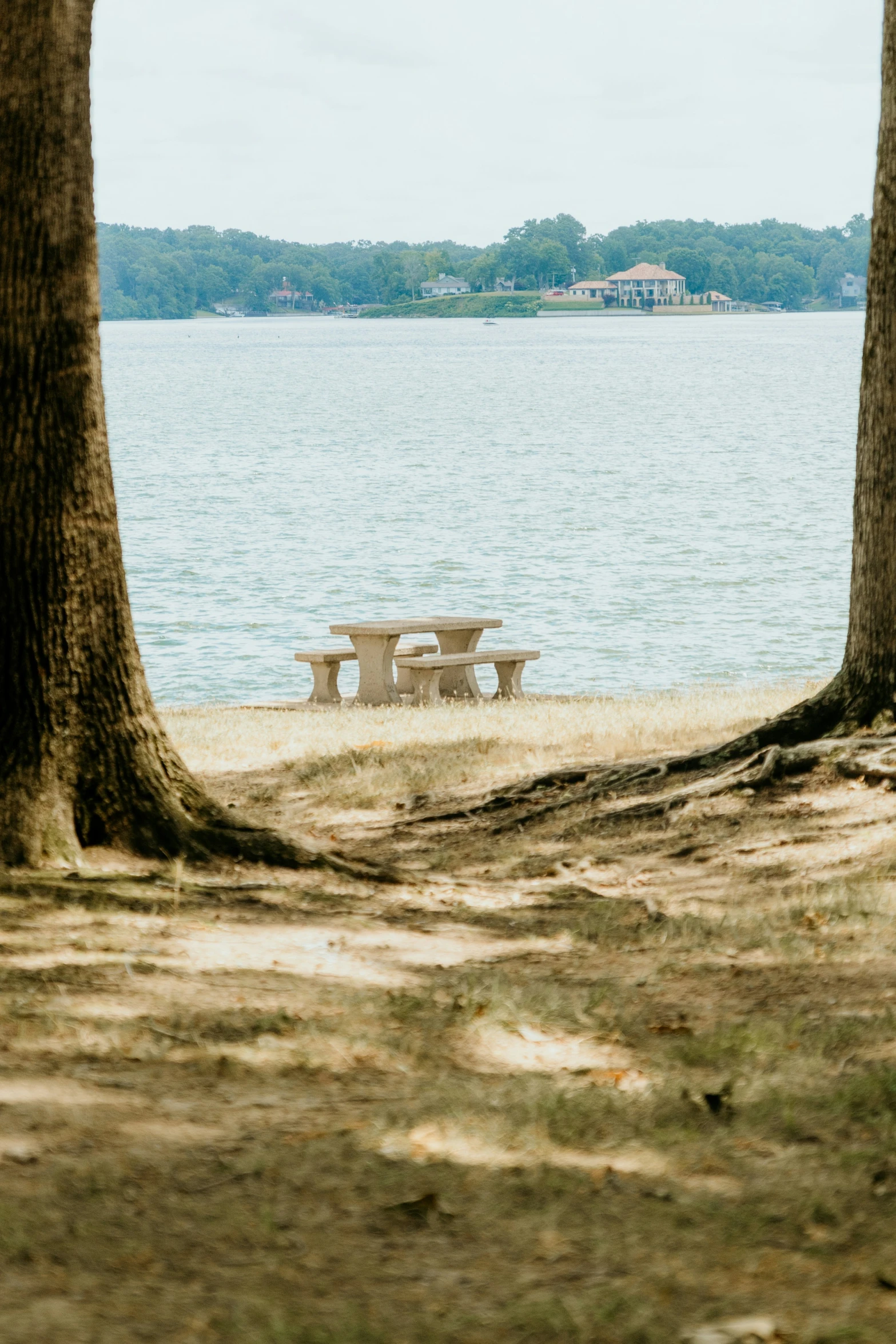 two empty picnic tables next to two trees