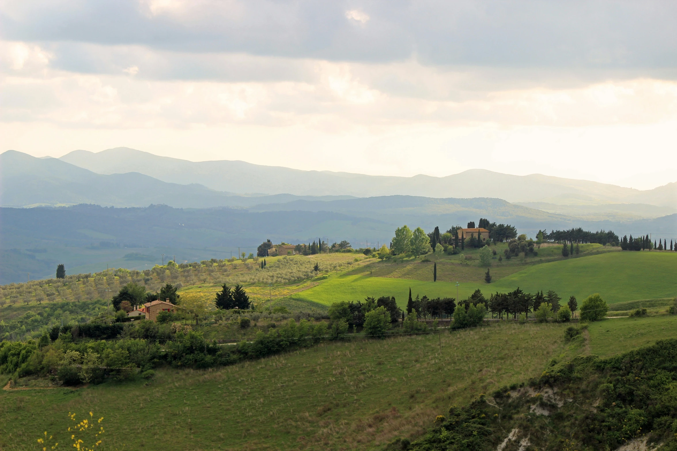 an open field and forest in front of some mountains