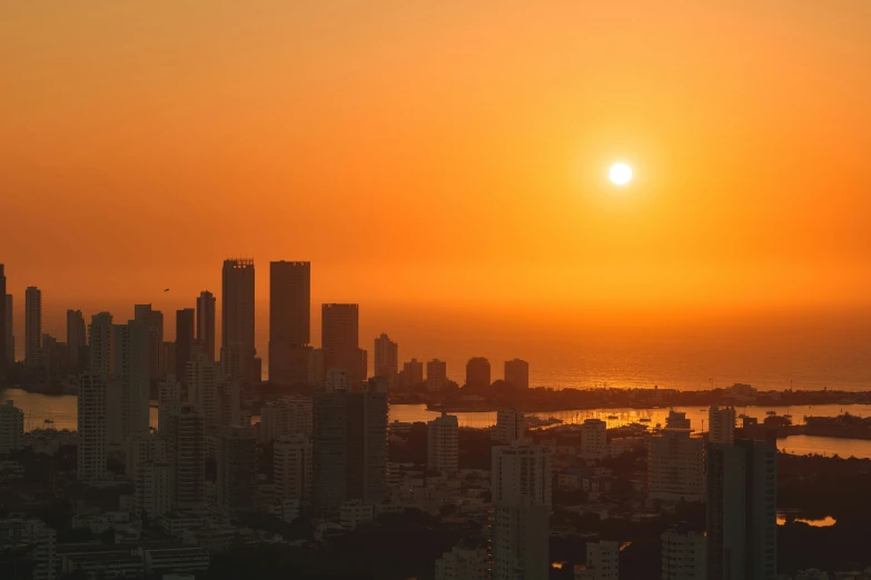 a view of the skyline at sunset from the top of a hill