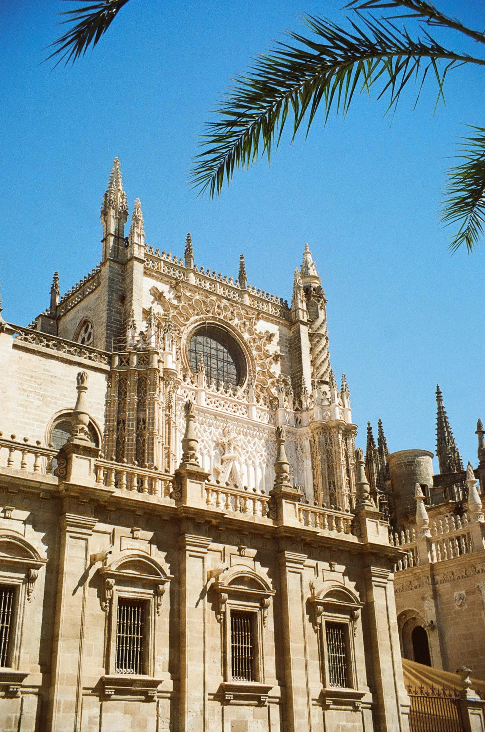 a cathedral with tall gothic architecture, some pointed windows and palm trees