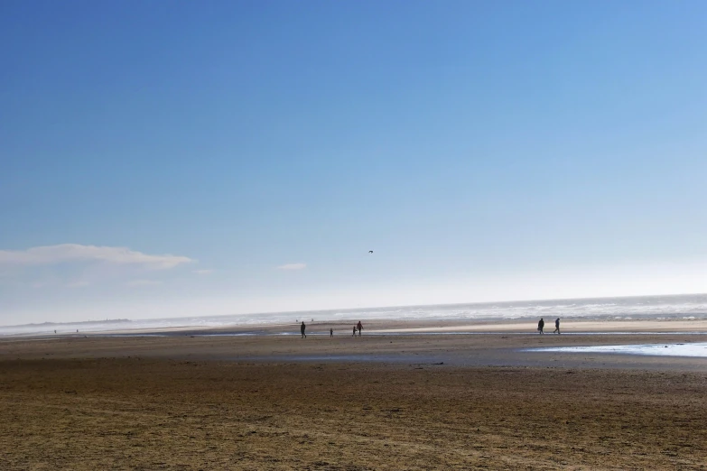 a group of people are flying a kite on the beach