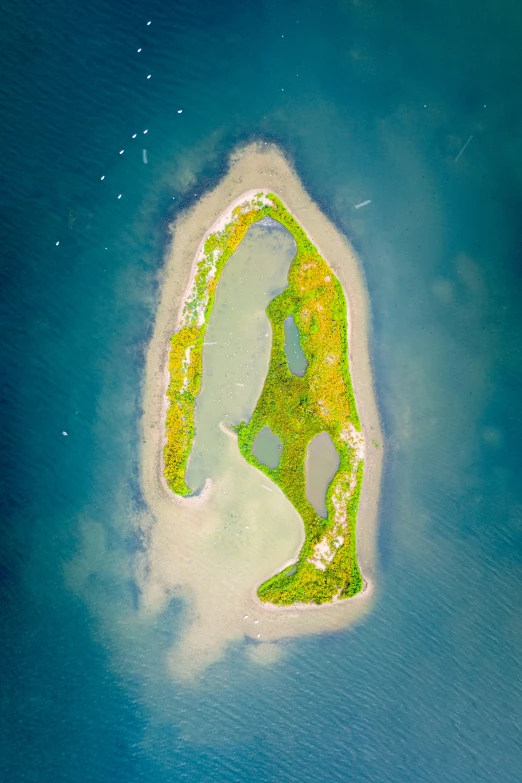 aerial view of small island in the middle of water