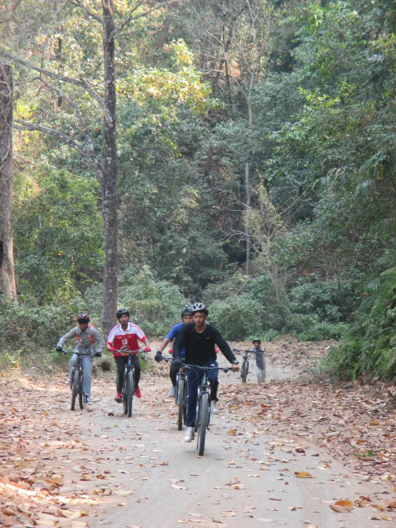 three people riding their bicycles in the woods