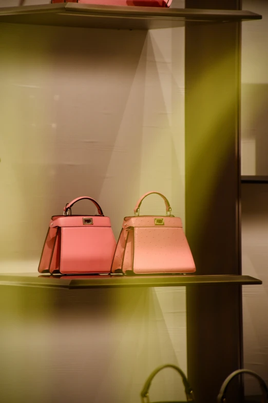 the display case has two pink purses in front of it