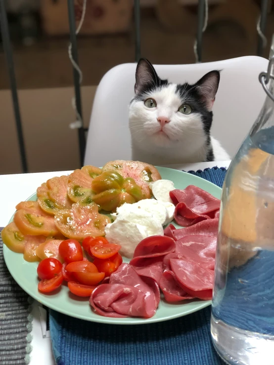 a cat looking at a plate of food on a table