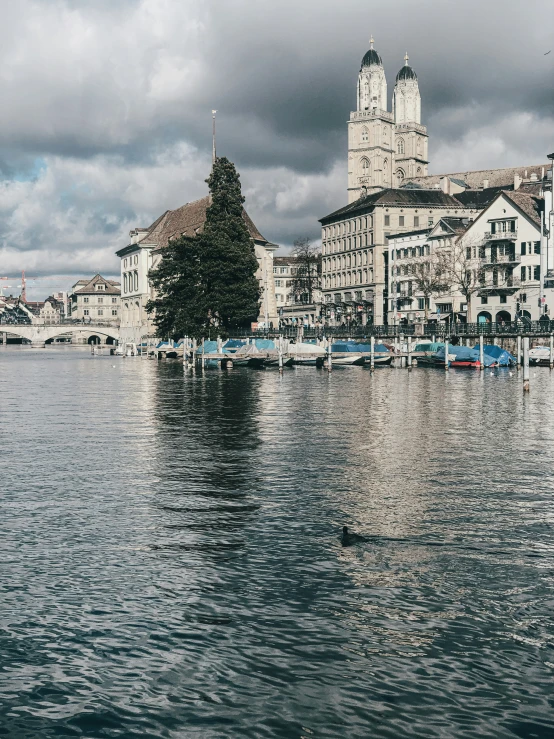 a bird sitting on a lake in front of a big building