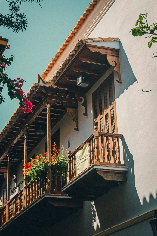 an apartment building with balconyes and flower pots