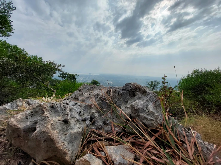 an up close view of a mountain in the background