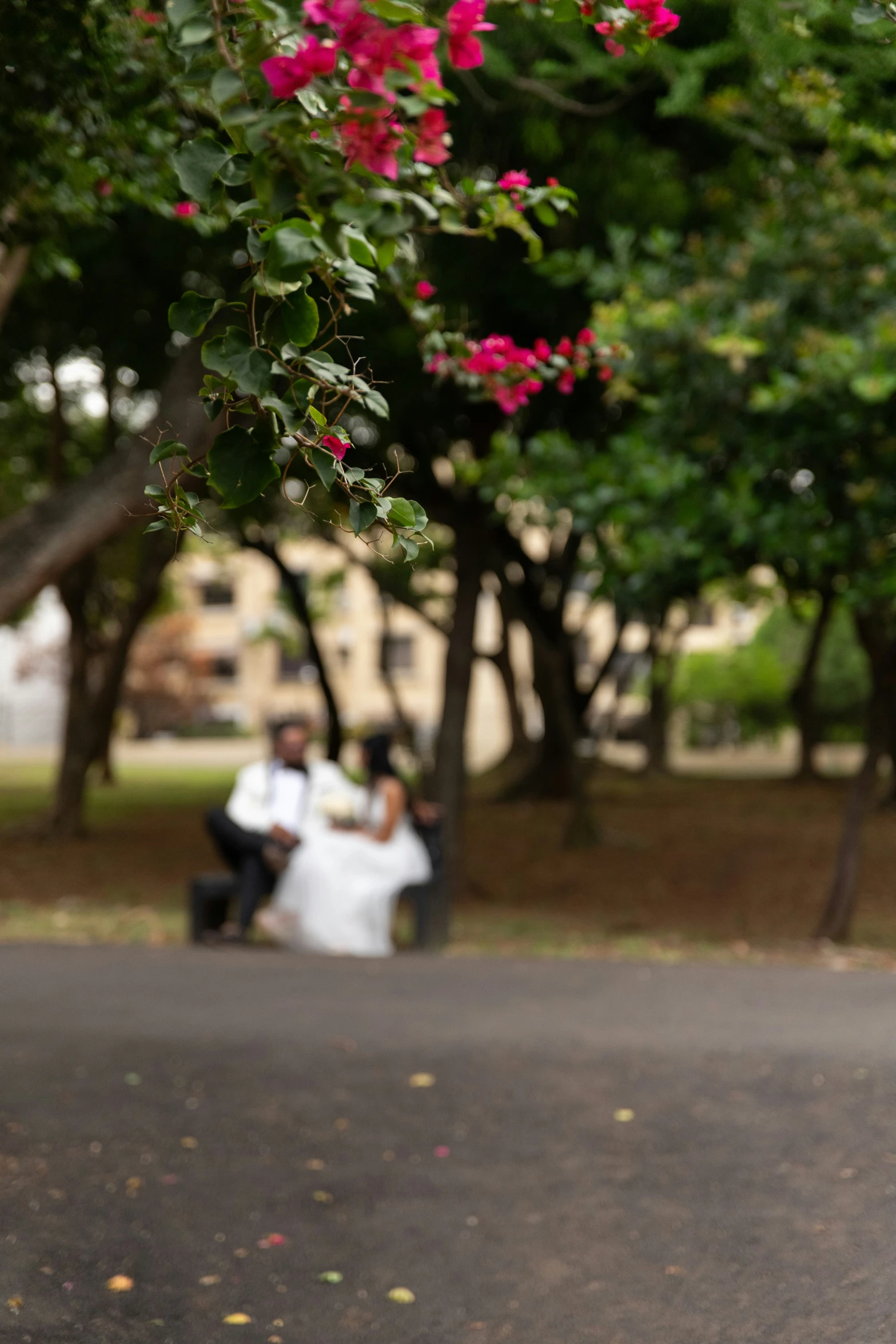 some people are sitting and hanging out by some trees