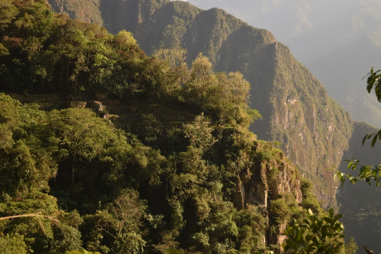 a large mountain towering over a forest filled with lush green trees