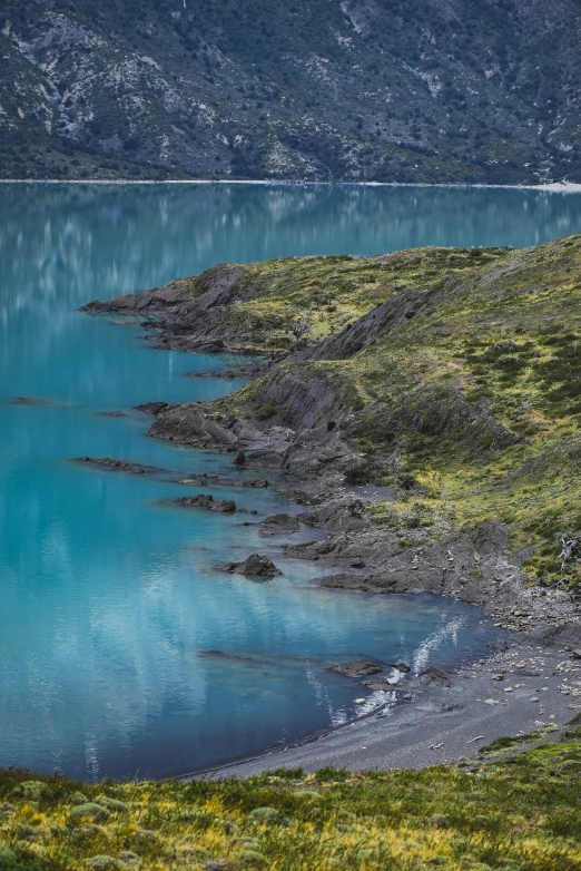 an animal is sitting on a hill near the water