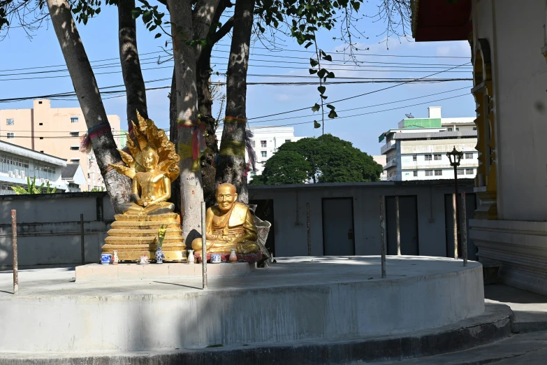 there are three buddha statues next to a tree