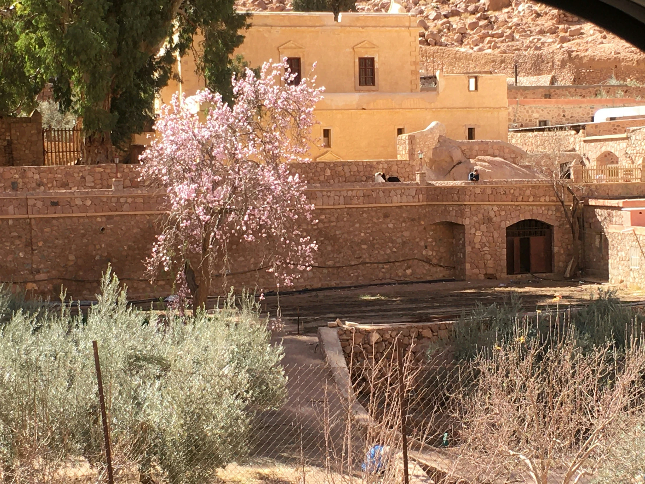 an adobe village in a desert area, with several stone buildings