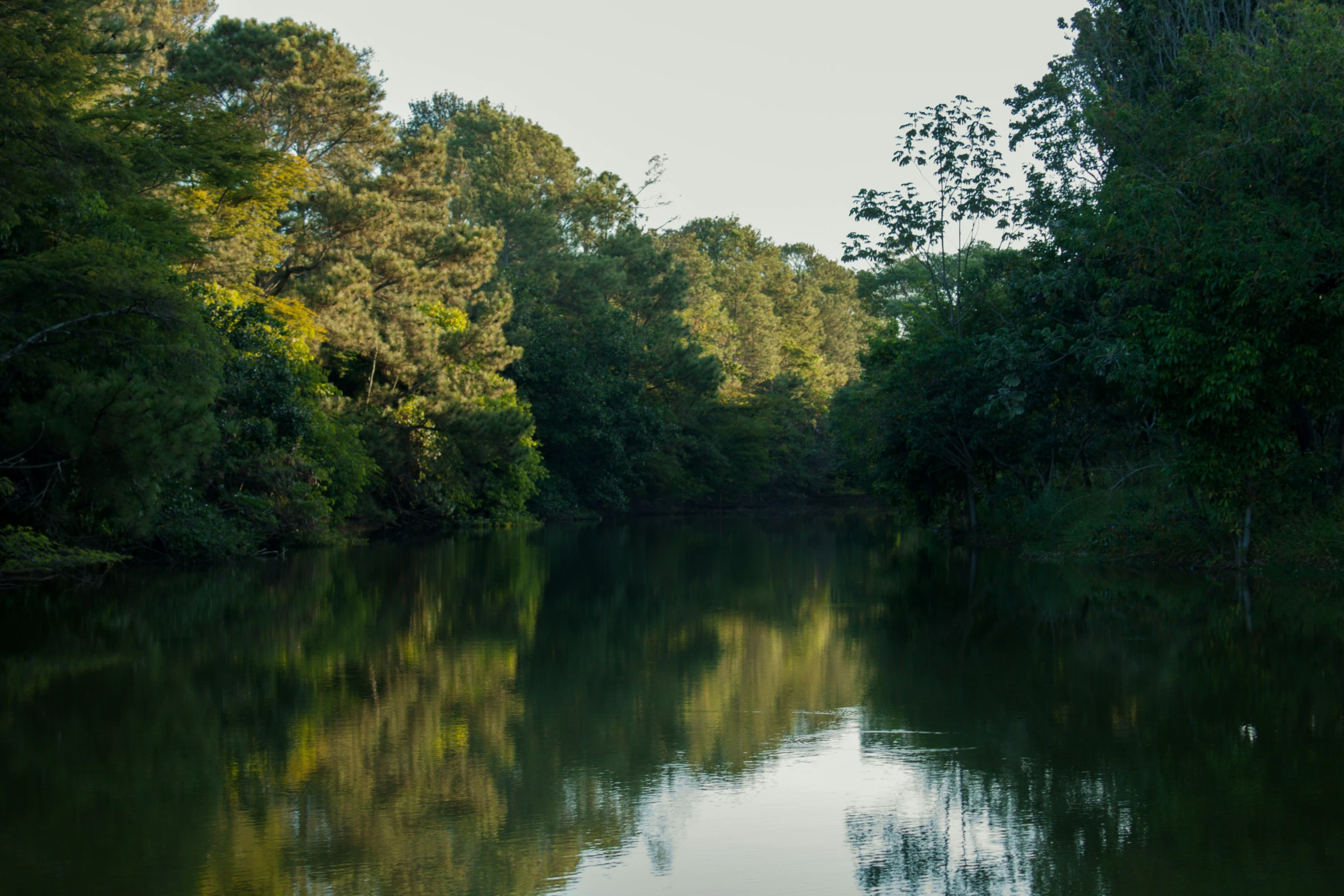 the trees line the river bank where they are reflecting in the water