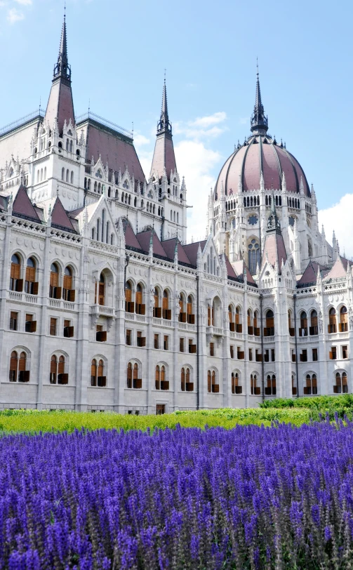 the building is next to a field with lavenders