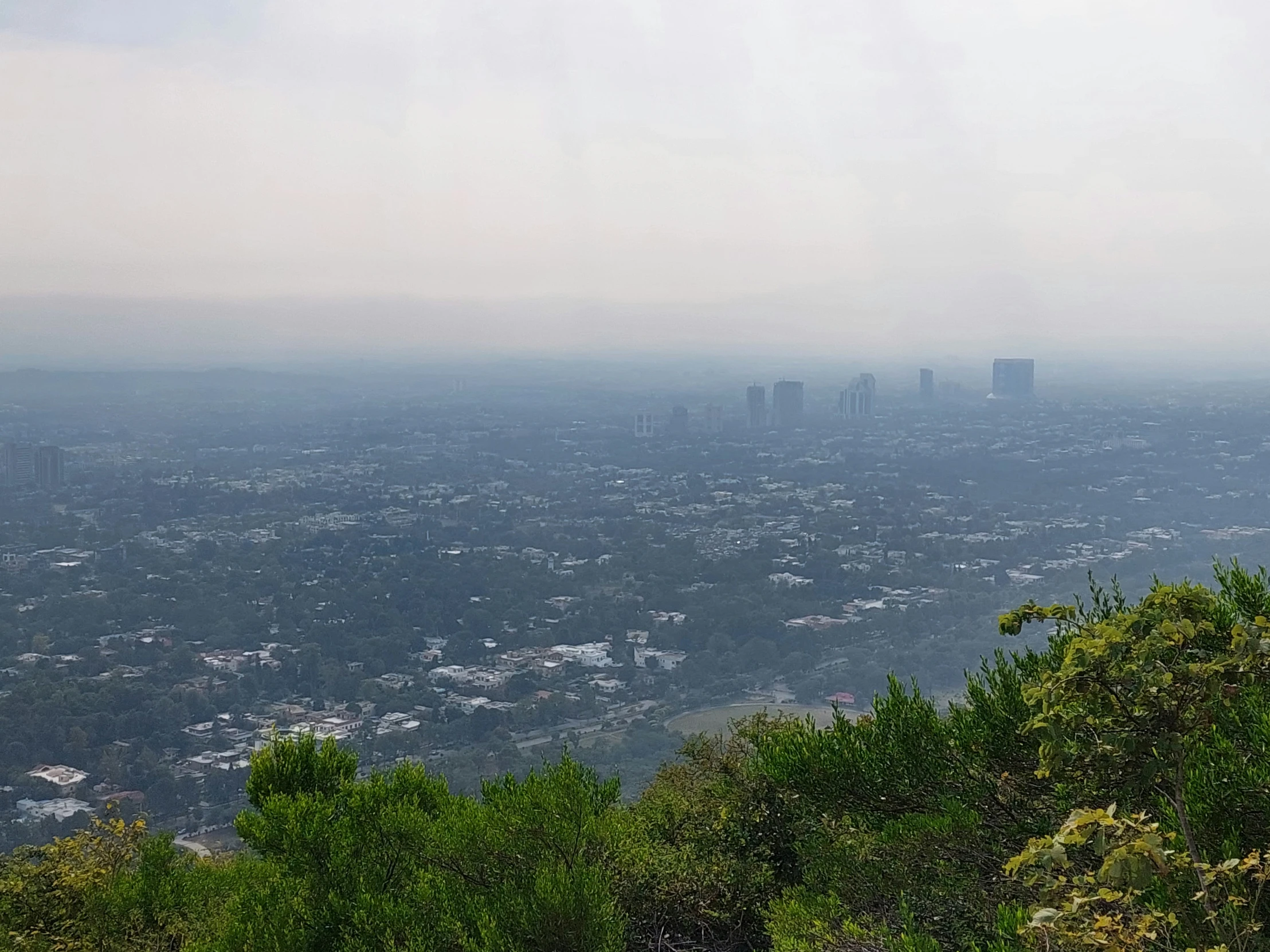 the view over a city from a hill top