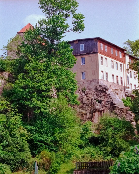 the tree line of a park is in front of an old building