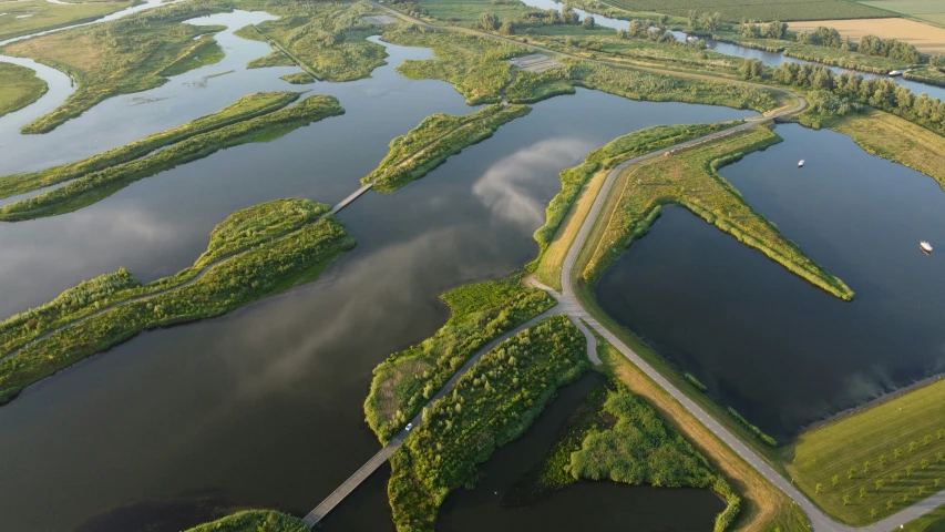 a large body of water surrounded by trees and land