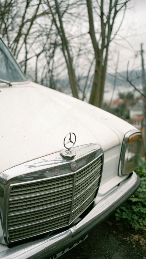 a old mercedes benz sits in the woods