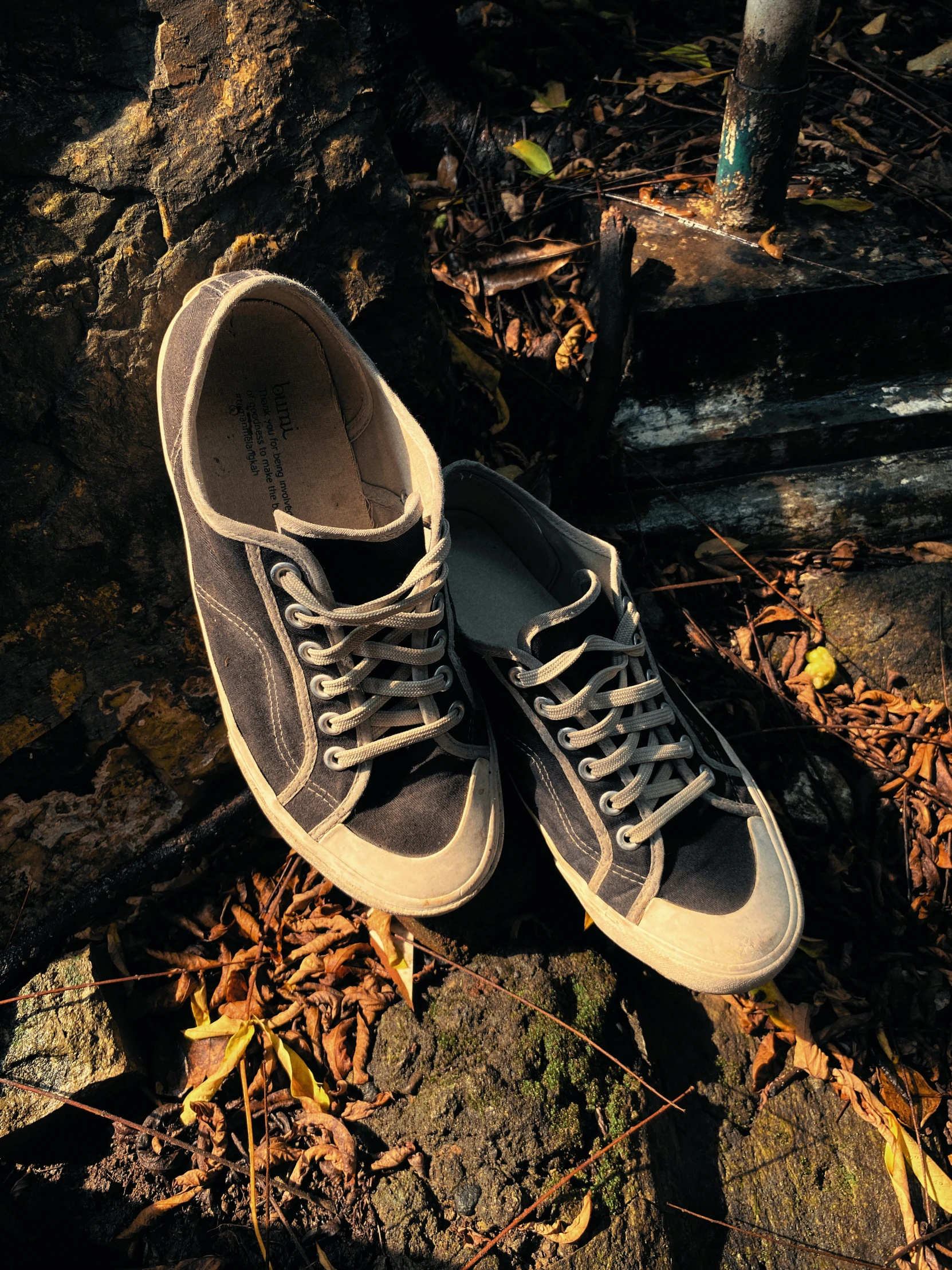 pair of worn and worn grey tennis shoes in leaf strewn area