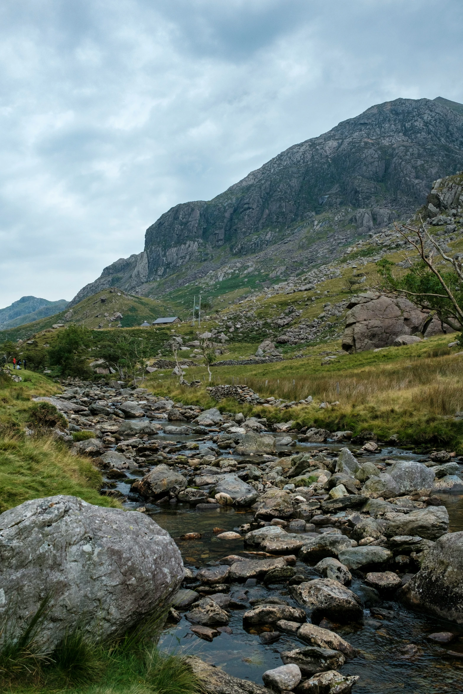 a creek that is surrounded by rocks and grass