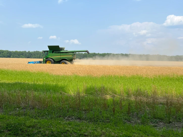 a green crop dusts a wheat field