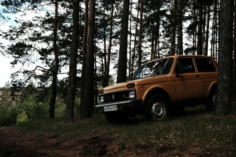 a large truck parked between two trees in the forest