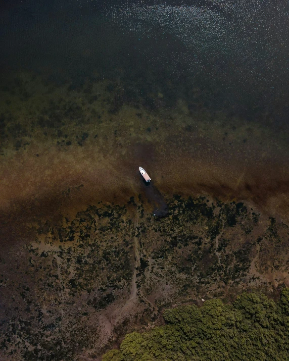 top down view of the body of water, and some green vegetation