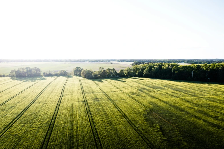 an aerial view of the grass in a field