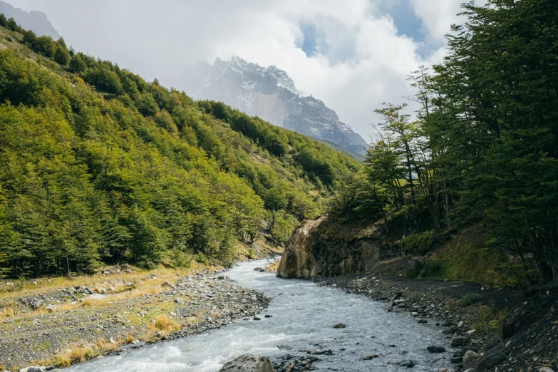 a mountain with some trees and a river