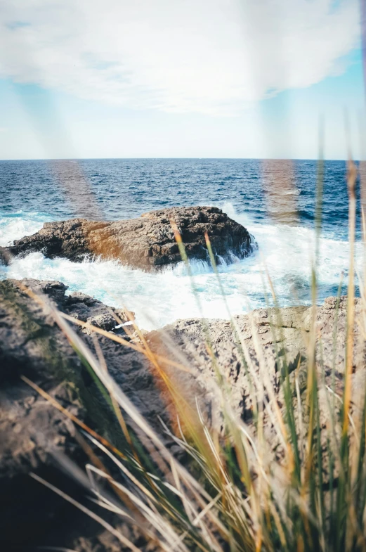 some seaweed and rocks near the ocean water