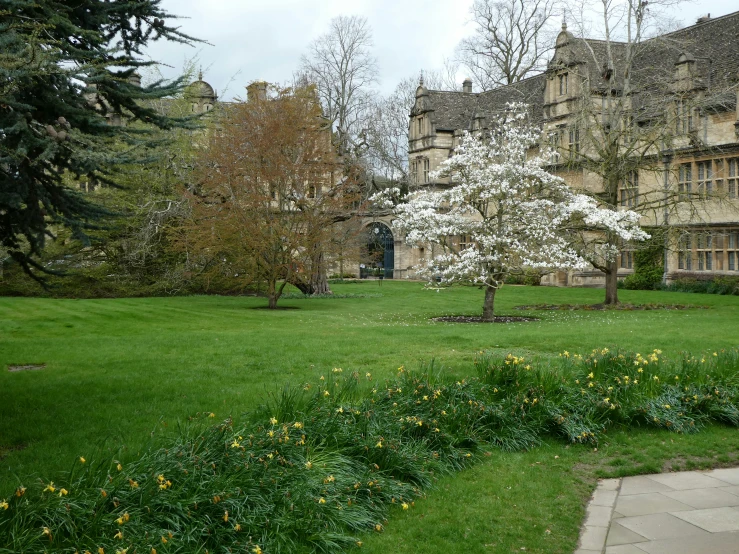 a park scene with a building and flower trees