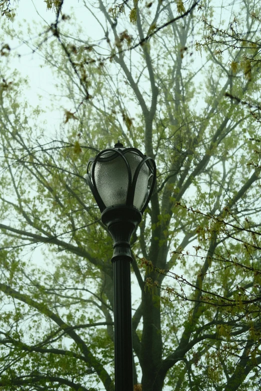 a street lamp on a pole next to trees