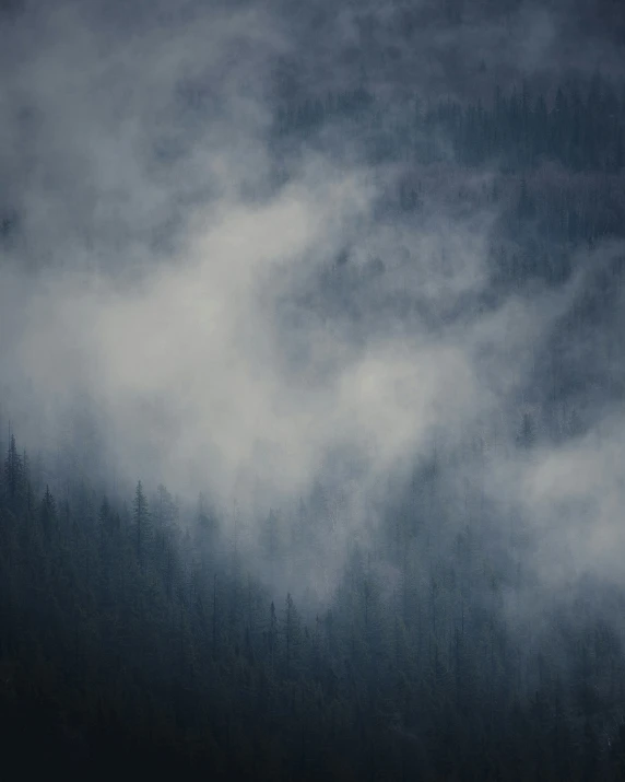 trees, clouds and water in a wooded area