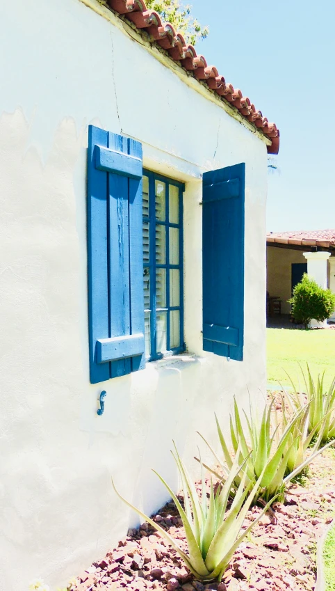 a house with a blue shutter and two plants