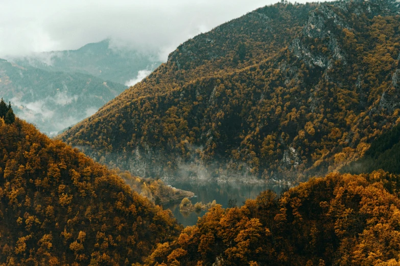 a green, forested mountain with trees on the side