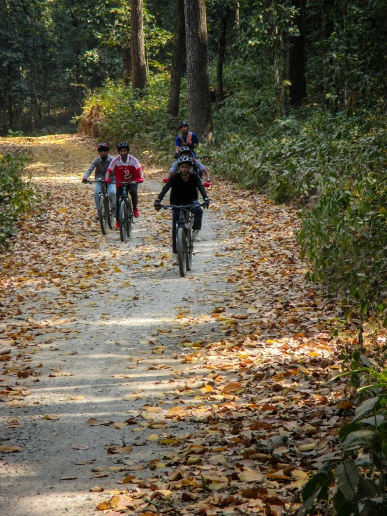 bikers riding on dirt path through wooded area