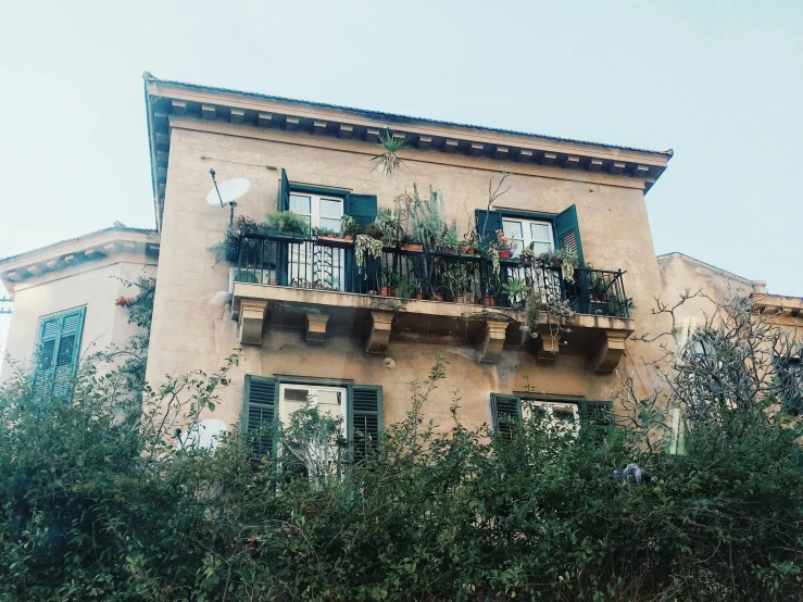 plants on balconies near a building