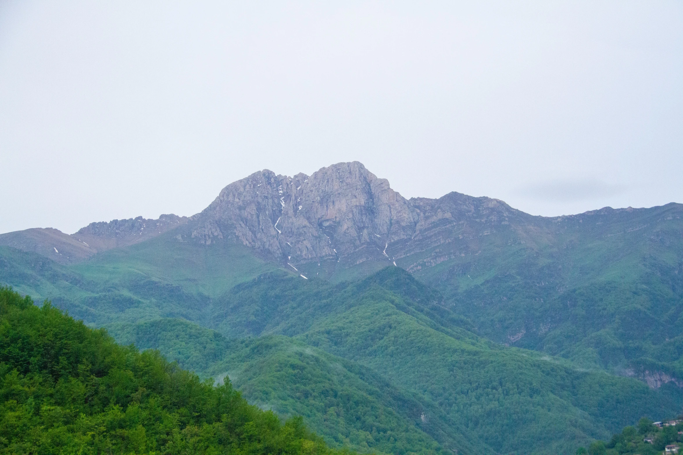 two cows walking on a grassy slope next to mountains