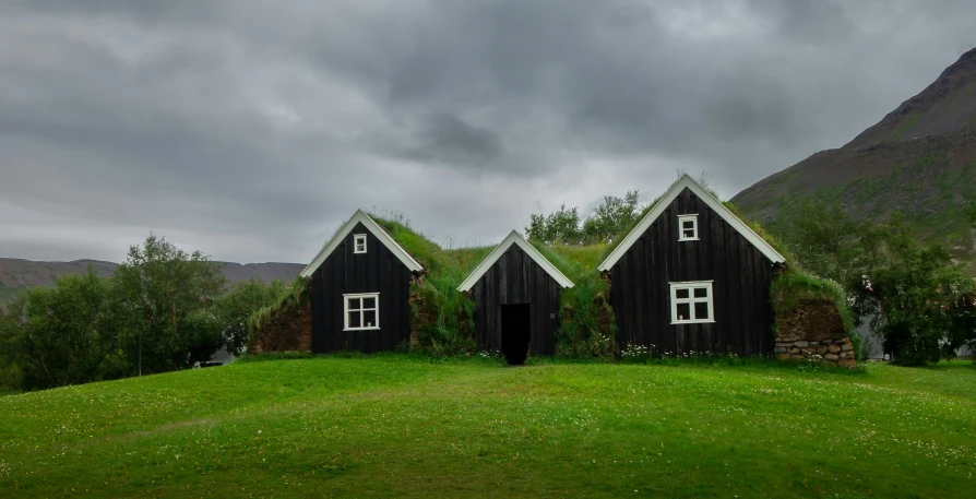 a po of the grass roofs on three barns