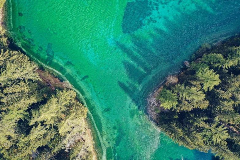 a bird's eye view of a river with bright blue water and lush trees