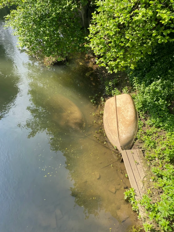 there is a canoe and dock on the shore