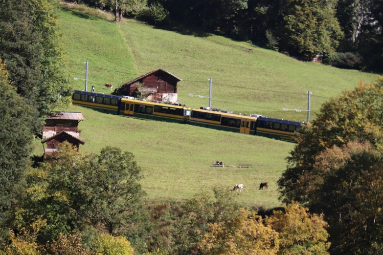 two trains on the tracks passing by houses