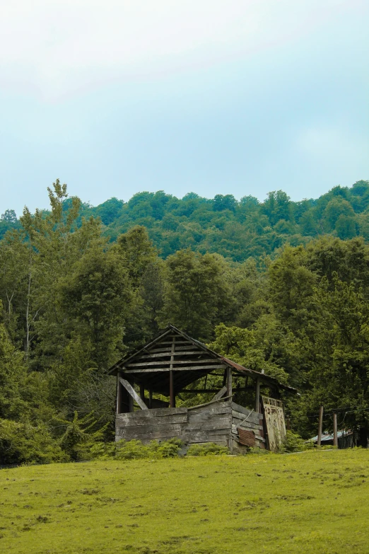 a dilapidated wooden structure sitting in the middle of a forest