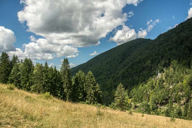 some hills and trees and blue skies with clouds