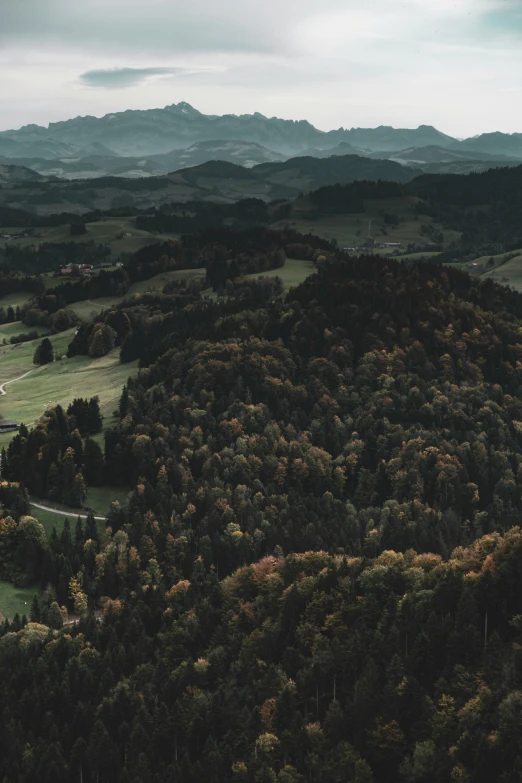 an aerial po of a lush green hillside with trees