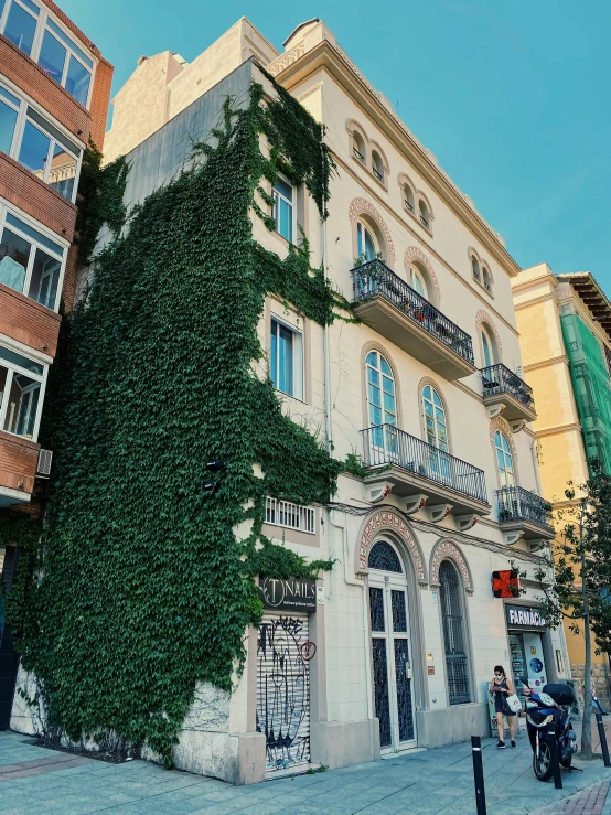 an ivy grows on the wall outside a multi - story building